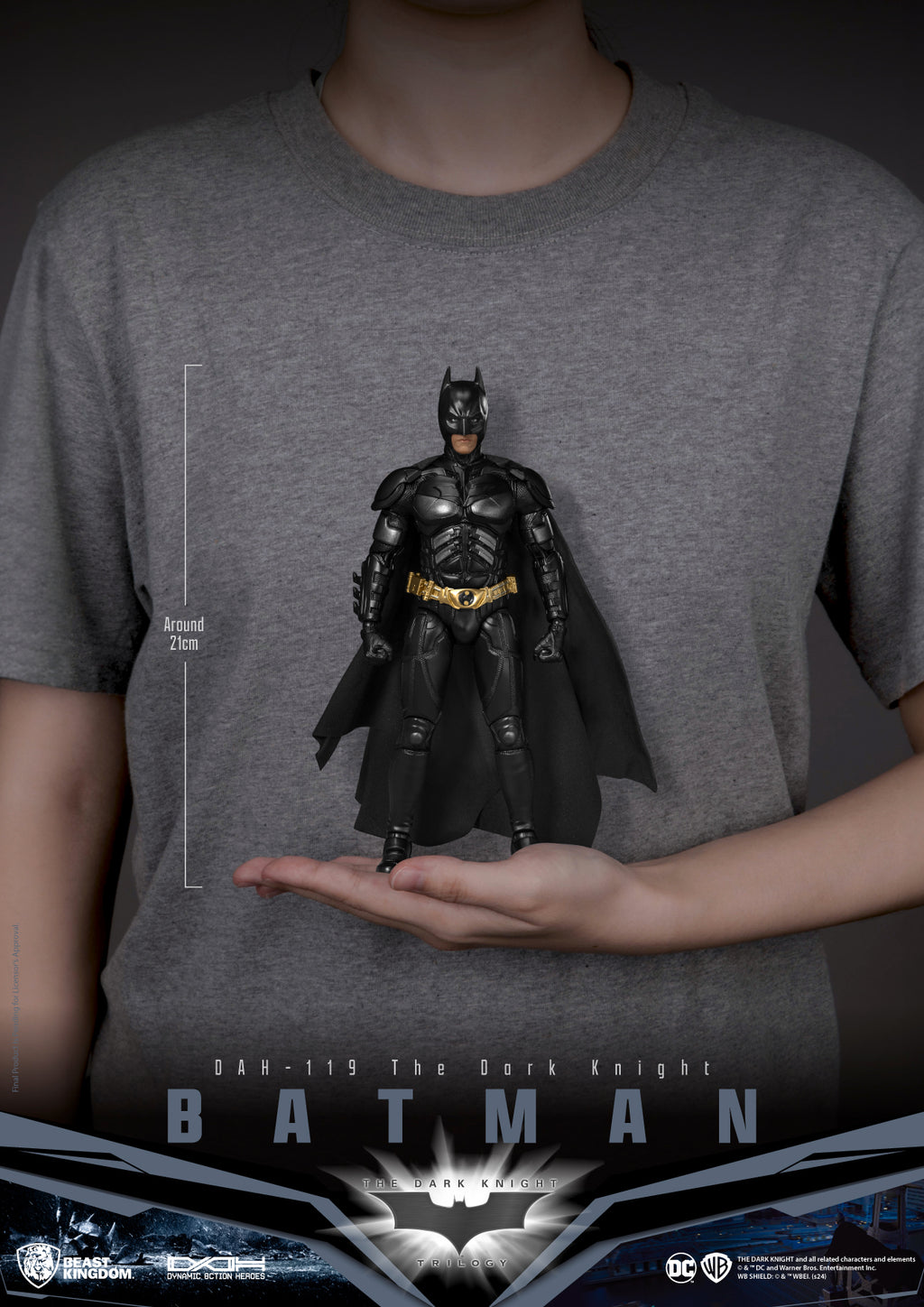 DAH-119 Batman (The Dark Knight)